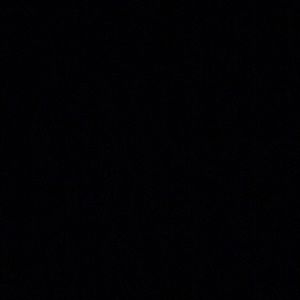 Meet your Posher, Emilee